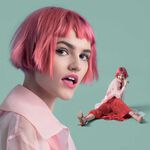 Schwarzkopf Professional Chroma ID Color Masque Pigmentant Rose 300ml