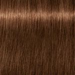 Schwarzkopf Professional Igora Royal Absolutes Coloration permanente 60ml 6-460 Blond Fonc&eacute; Beige Marron Naturel