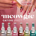 Andreia Professional Meowgic Stick Magnétique 3 en 1