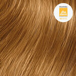Paul Mitchell Coloration Demi-Permanente The Demi 60ml
