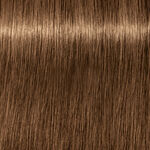 Schwarzkopf Professional Igora Royal Absolutes Coloration permanente 60ml 7-50 Blond Dor&eacute; Naturel
