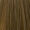 7.13 Ash Gold Blonde