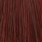 XP200 Natural Flair Coloration Permanente 5.6 Châtain clair rouge 100ml