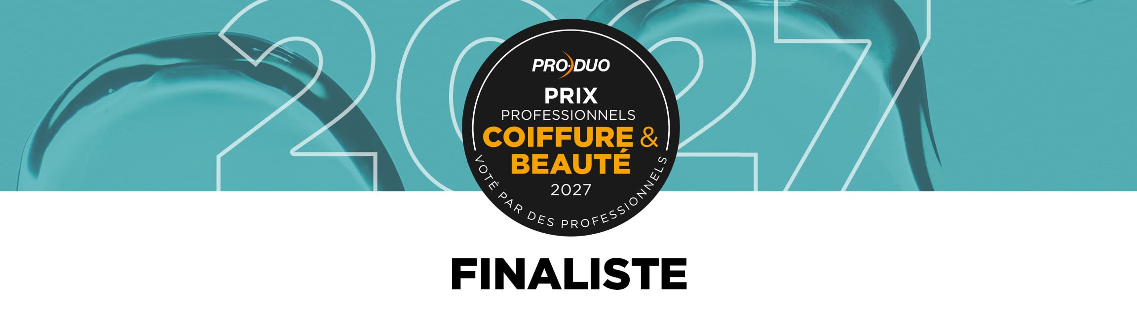 Pro Duo Awards